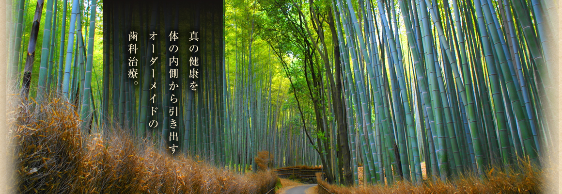 真の健康を体の内側から引き出すオーダーメイドの歯科治療。